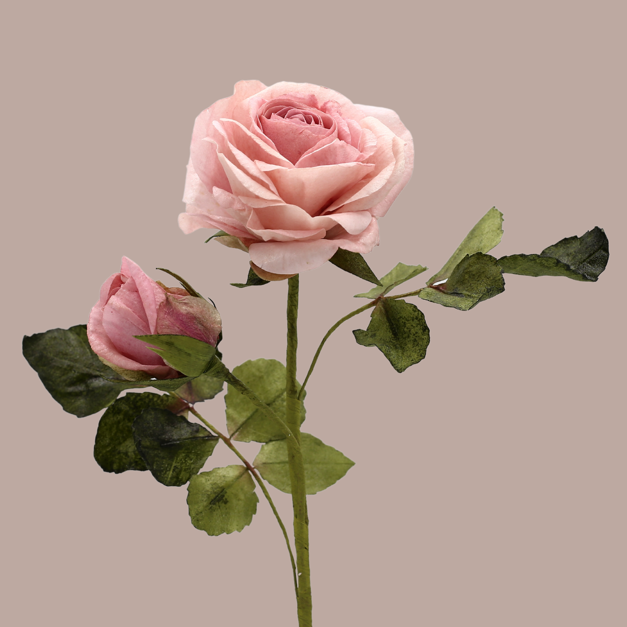 VAFEĻU PAPĪRA TĒJAS ROZE