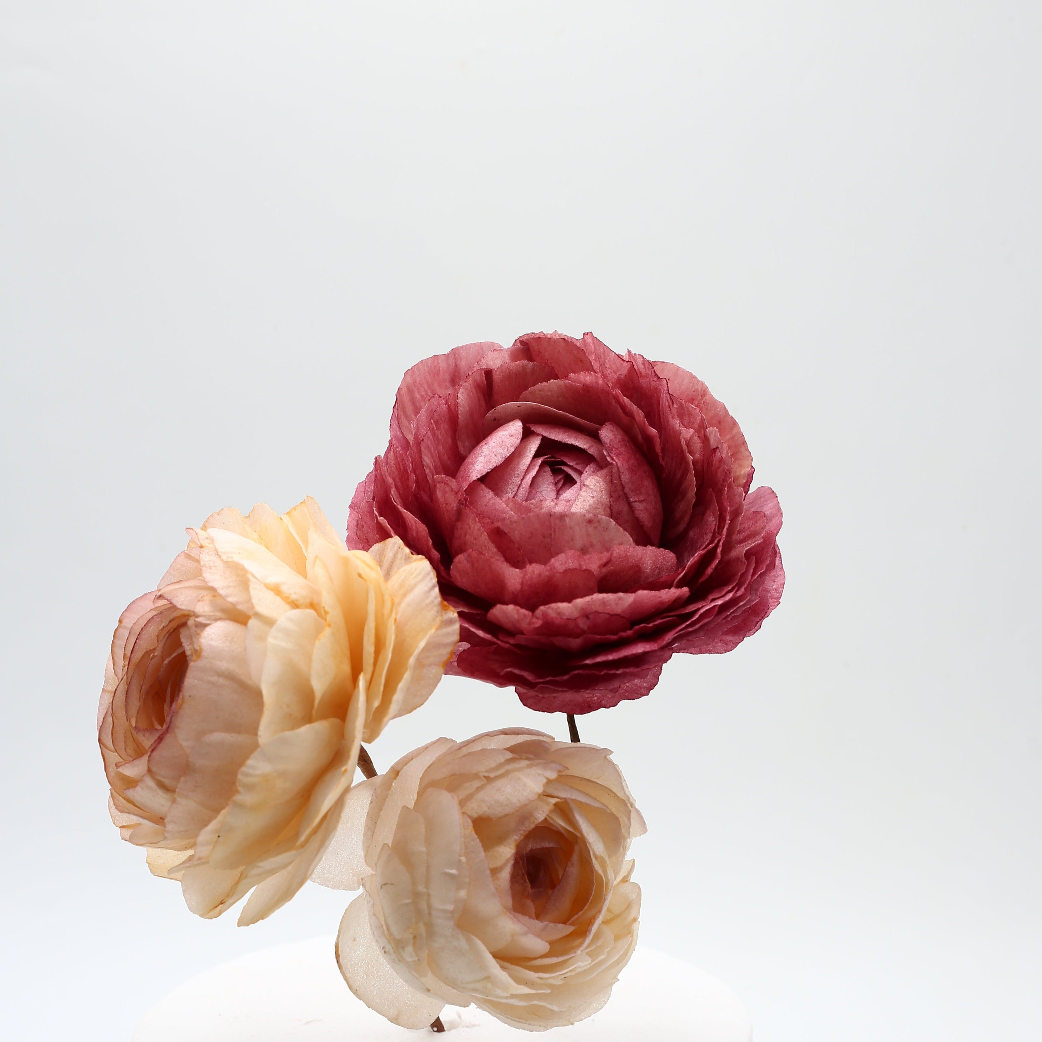 WAFER PAPER RANUNCULUS