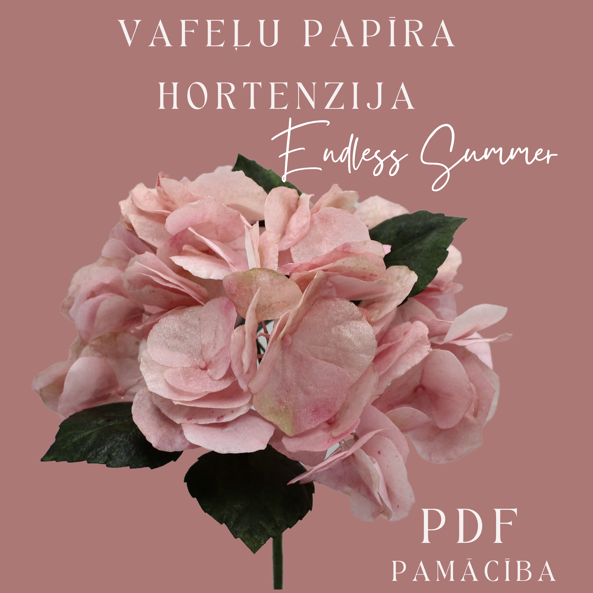 VAFEĻU PAPĪRA  HORTENZIJA