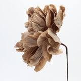 Wafer paper PEONY