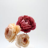 WAFER PAPER RANUNCULUS