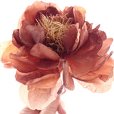 WAFER PAPER PEONY_27.02.22